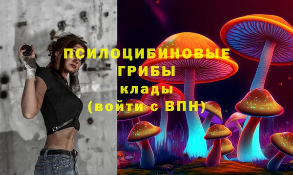 2c-b Абинск