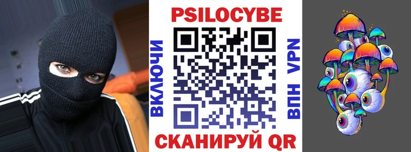 ОМГ ОМГ маркетплейс  Хабаровск  Галлюциногенные грибы Psilocybine cubensis 